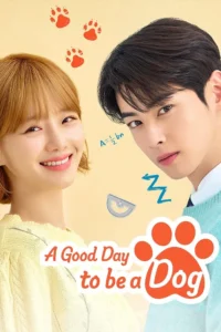 A Good Day to be a Dog S01 (Complete) | Korean Series