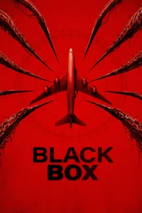 Black Box (Flight 298) (2026)